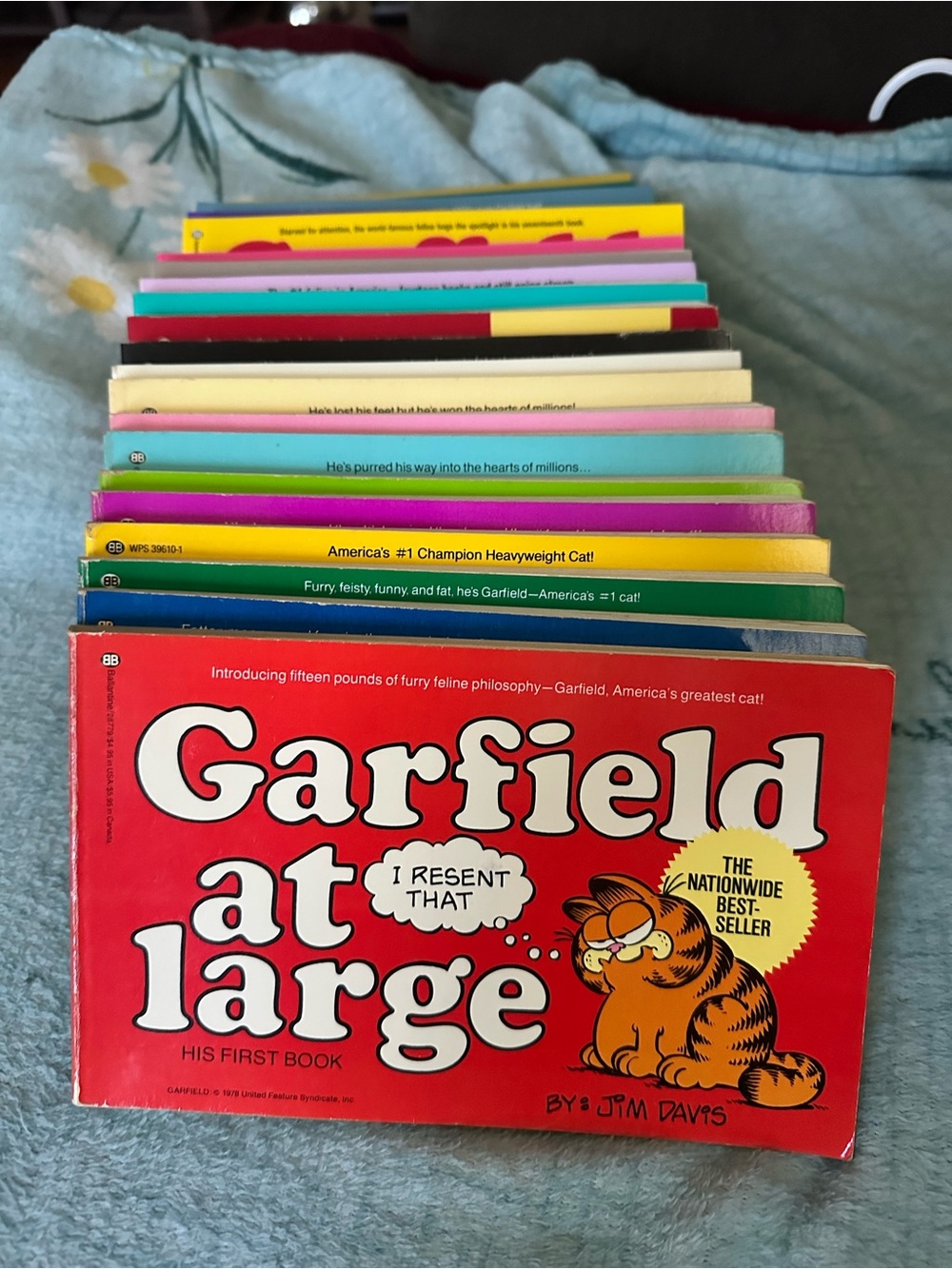Rare Garfield at Large Jim Davis Complete Set Books 1–21 Excellent Condition